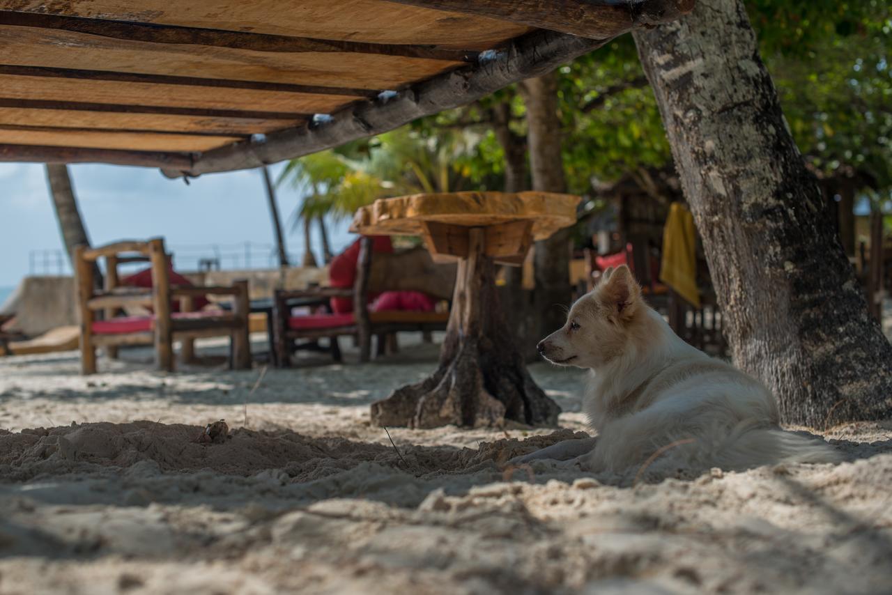Albergue Soul Breeze Backpackers Diani Playa de Diani Exterior foto