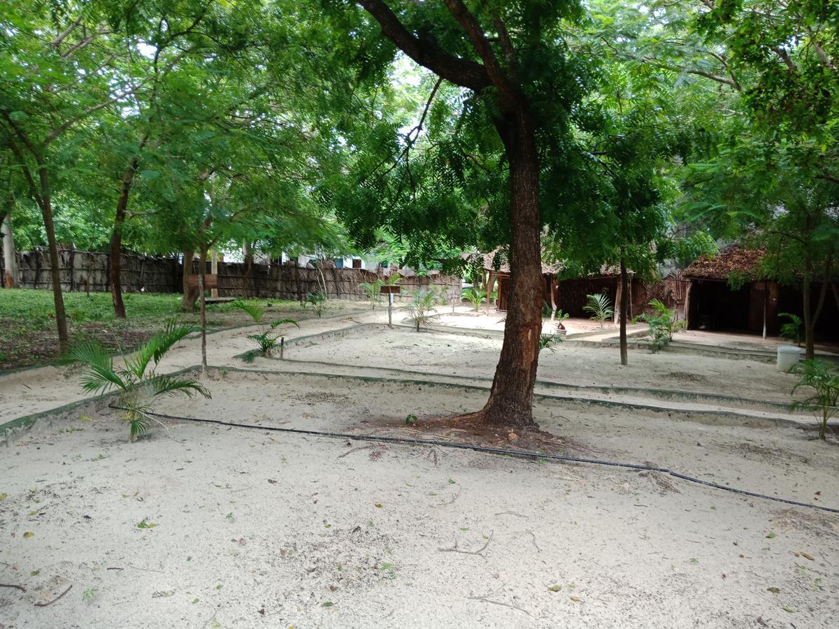 Albergue Soul Breeze Backpackers Diani Playa de Diani Exterior foto